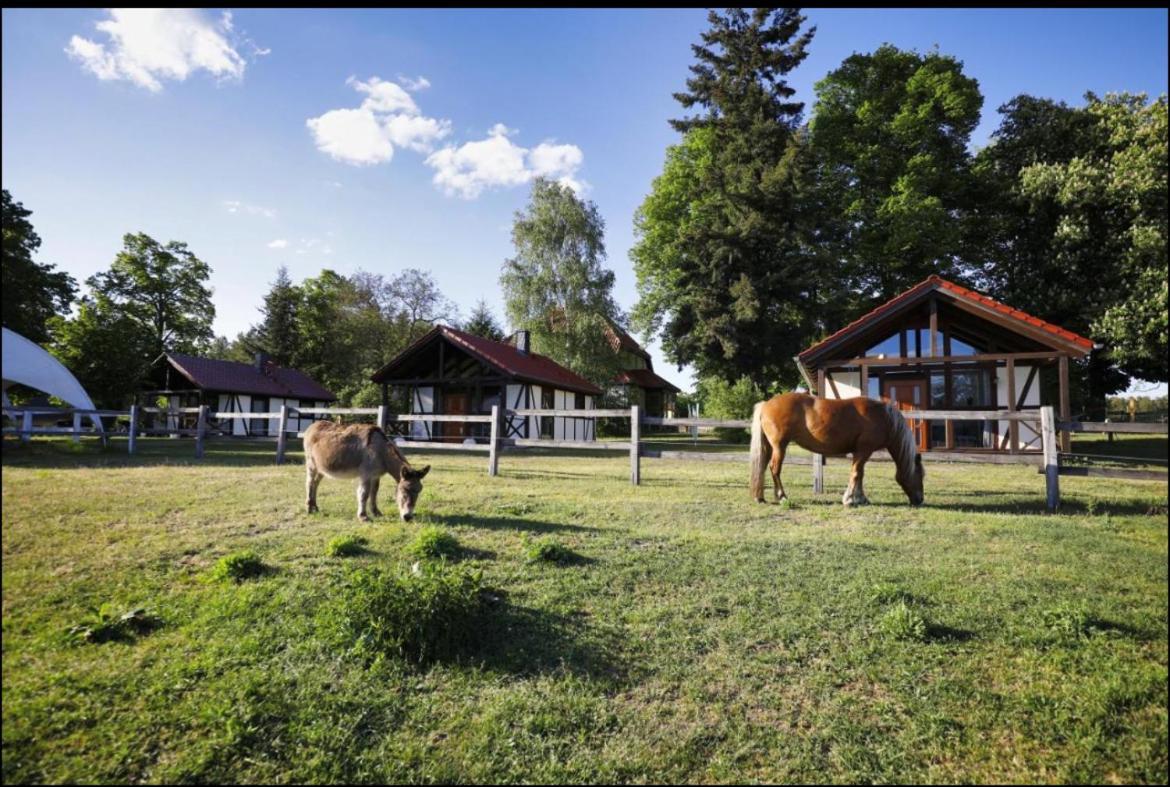 Apartamento Hof Lillge Schorfheide Exterior foto